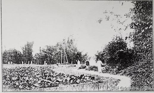 梅县东山中学剑英校区怎么走,东山中学剑英校区路线