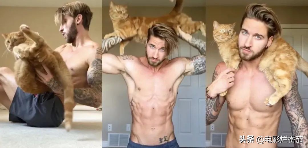 这部温情的撸猫片，让我哭得溃不成军，这是全世界猫*党**的胜利
