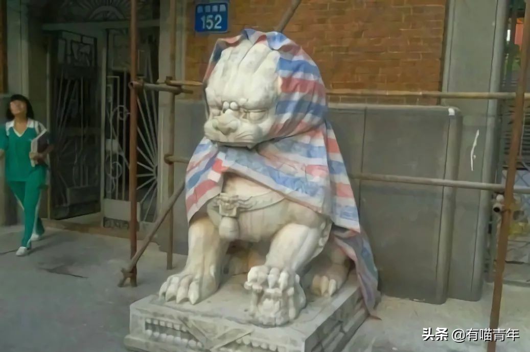 北大石狮子绝育事件,北大石狮子修复了吗