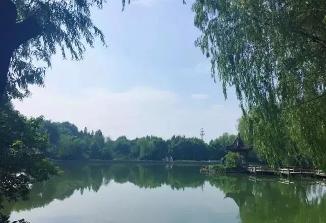 金坛是双面城市吗,金坛是一个美丽的城市