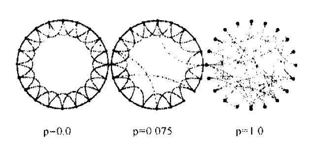p2p网络加速原理,p2p网络构建