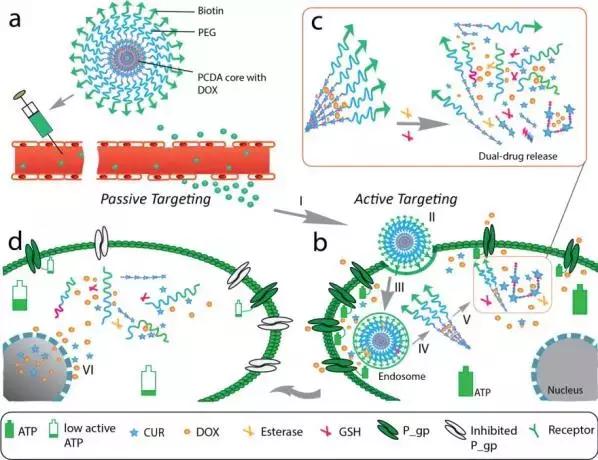 浙大毕业生历年国家奖,浙大院士国家科技进步一等奖