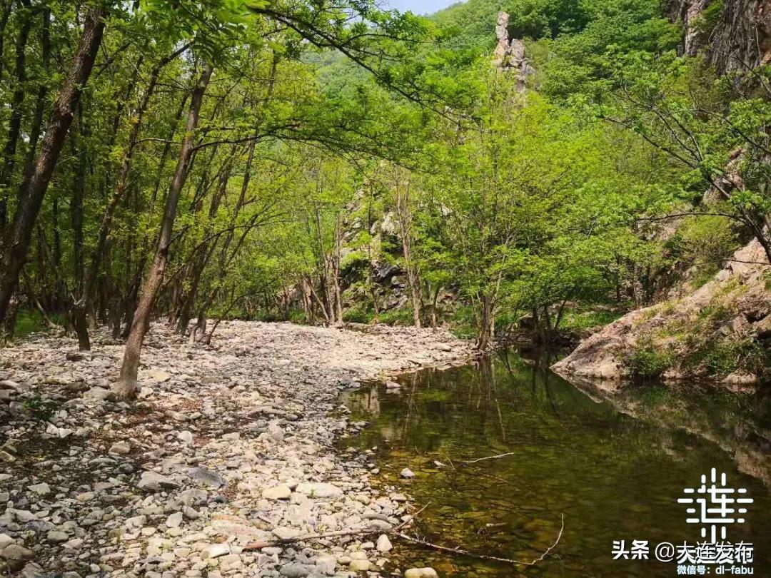 一个极美的露营地,槐之乡露营地