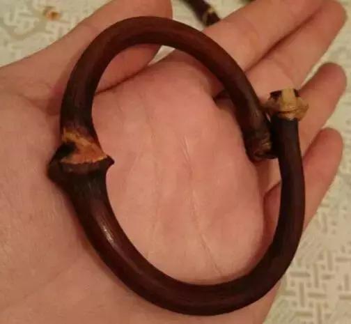 随便砍竹子做金箍棒,随便捡一节树枝雕刻木剑