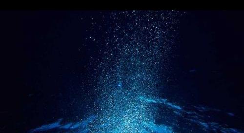 dptechnology,dp技术是什么