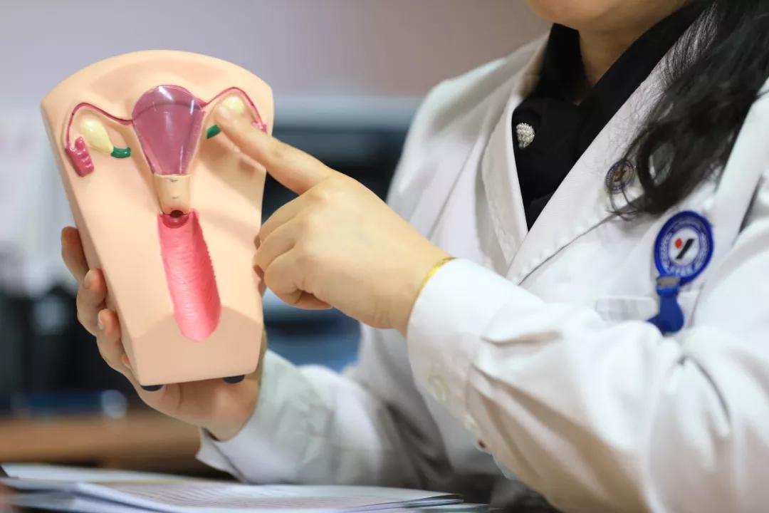 卵巢过度刺激恶心呕吐,卵巢过度刺激能移植吗