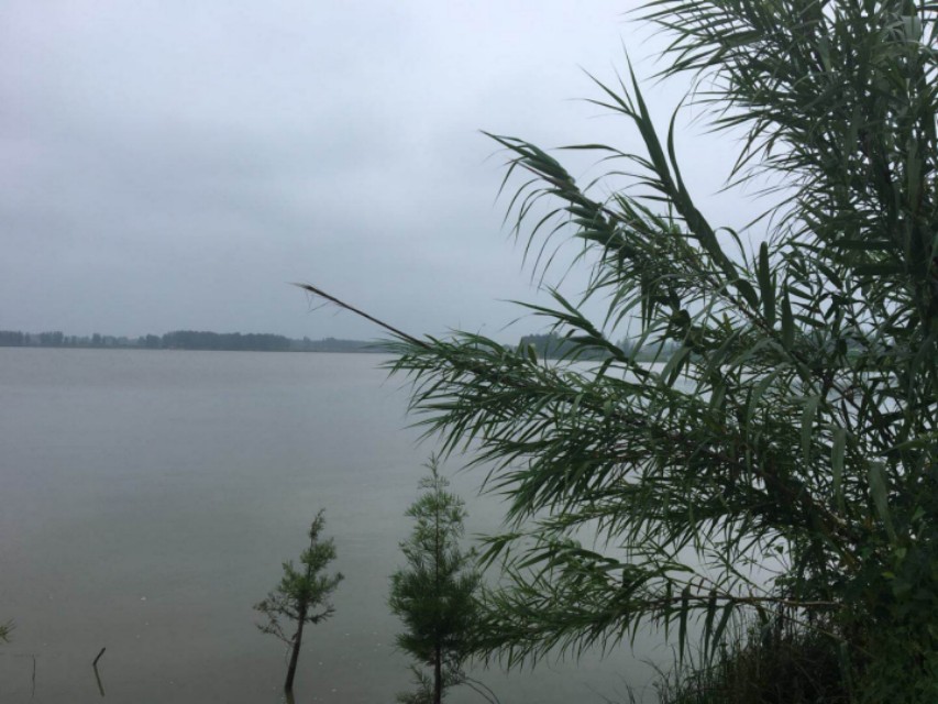 淮滨哪省的,淮滨附近有哪几个县城