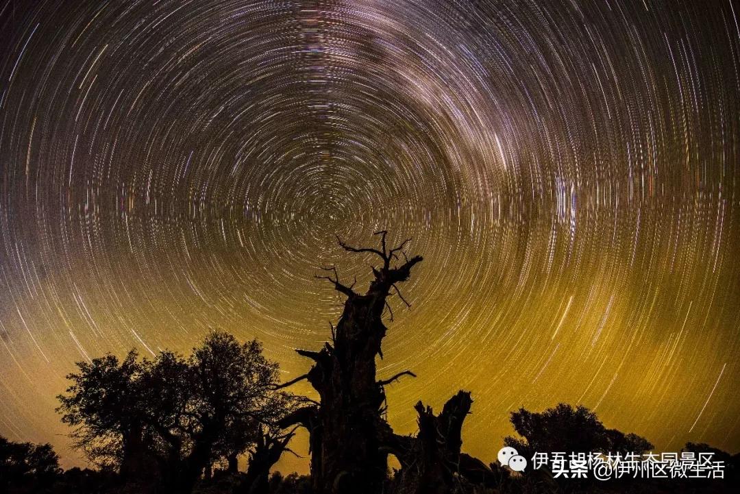 新疆哈密地区伊吾县,新疆哈密伊吾县视频