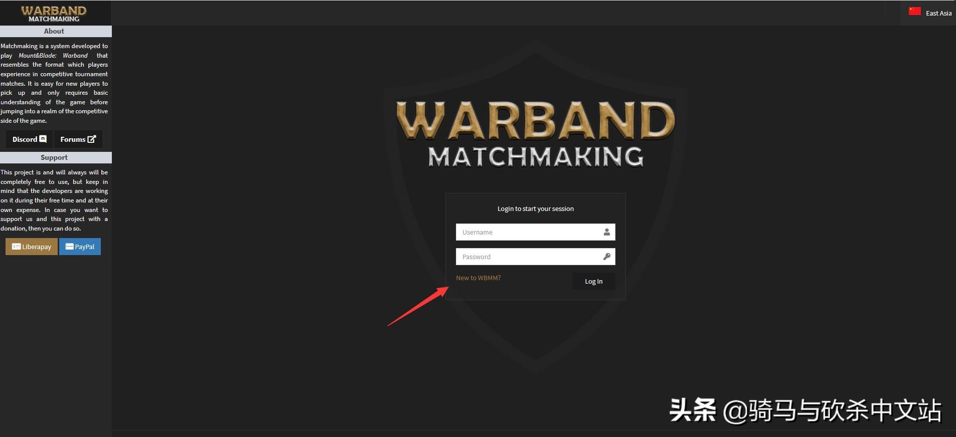 联机骑马与砍杀战团两个人怎么玩,骑马与砍杀战团攻略详解大全