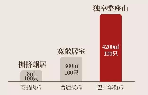热烈庆祝入住一周年,热烈庆祝入驻新项目祝贺词