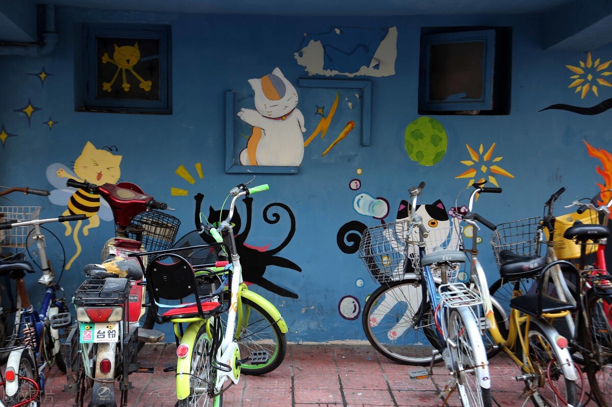 厦门顶级猫街介绍,厦门猫街值得去吗