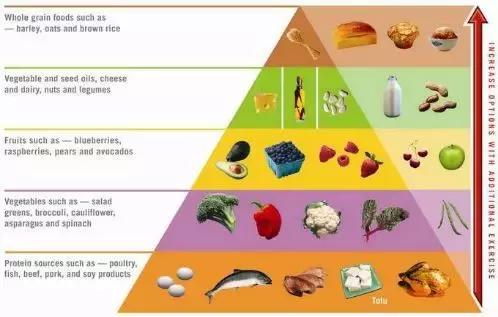 21天减肥法头三天只吃一顿肥肉,减肥肉的正确锻炼方法