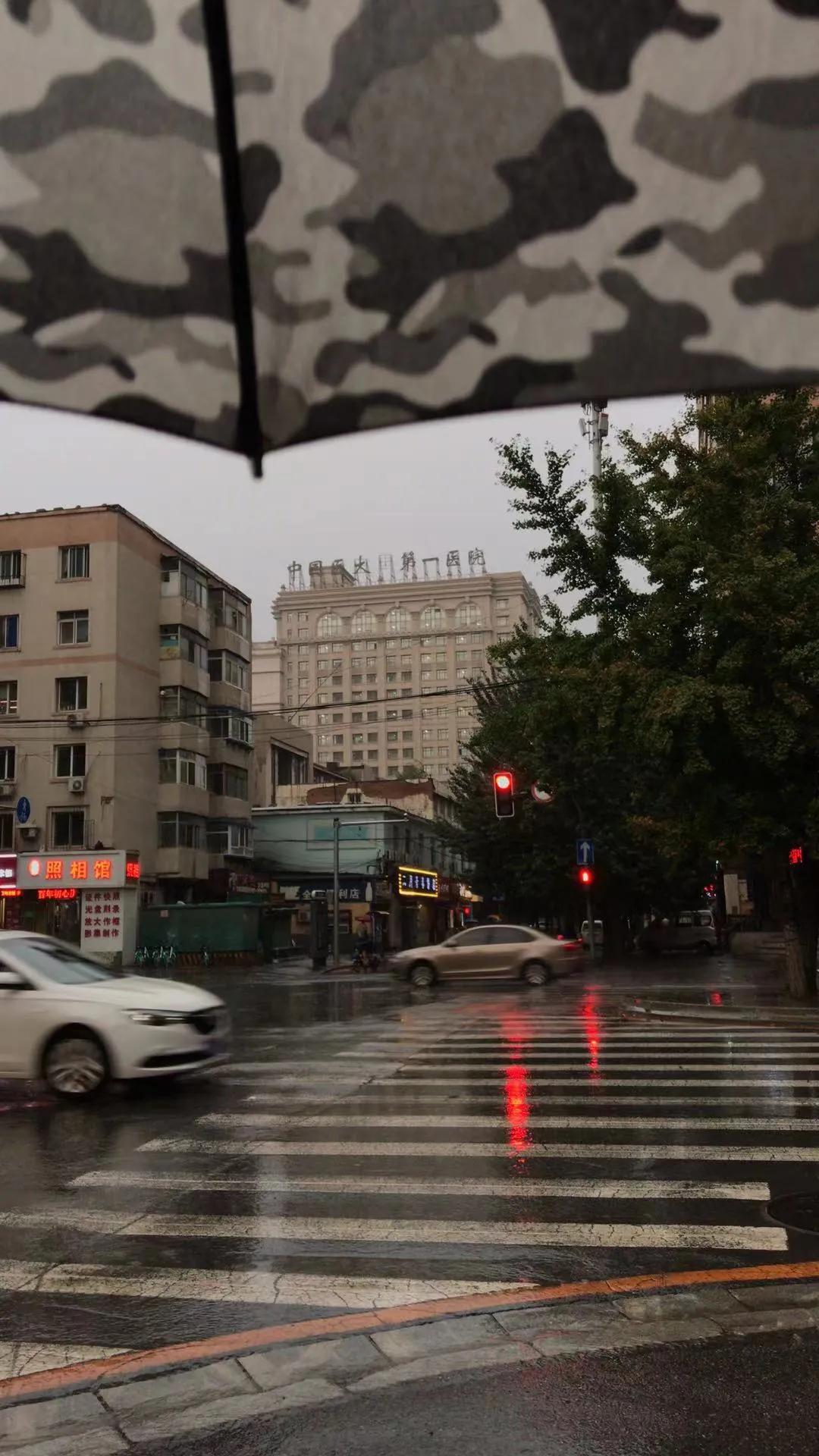 终究是一个人扛下了所有谁说的,终究一个人扛下了所有的话