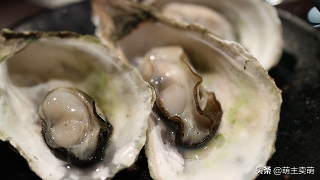 狗狗能吃过芒果吗,狗狗可以吃生蚝加薯片吗