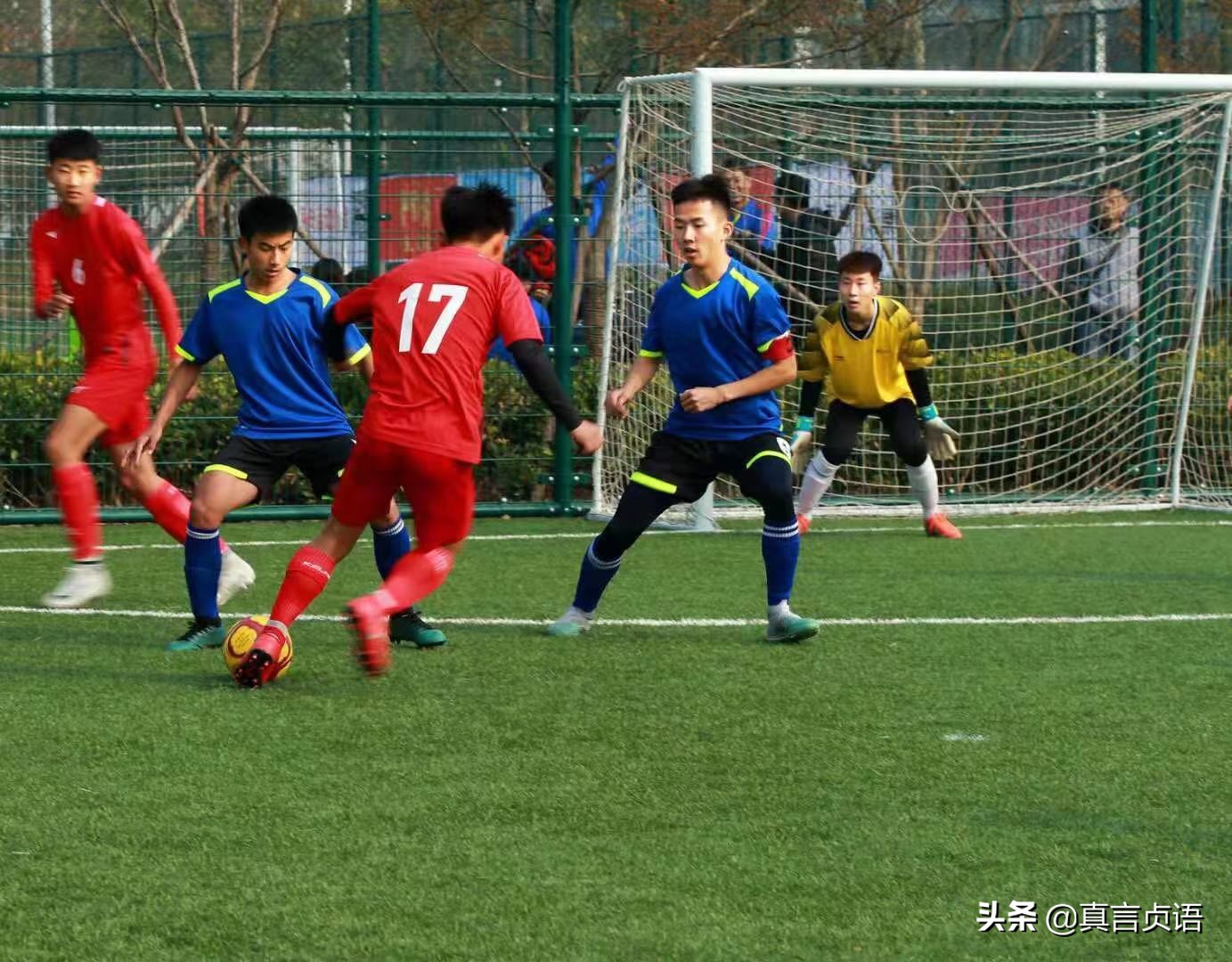 王耀洲原创散文丨“足球盲”的足球梦