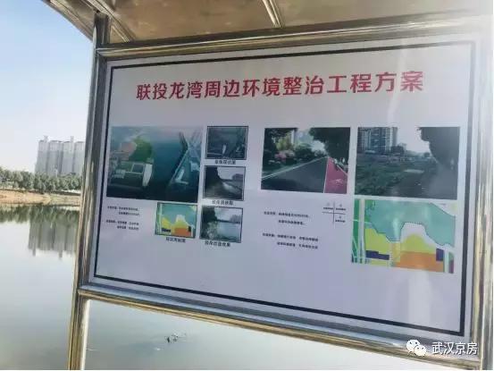 逆市大涨的股票有哪些,逆市上涨板块