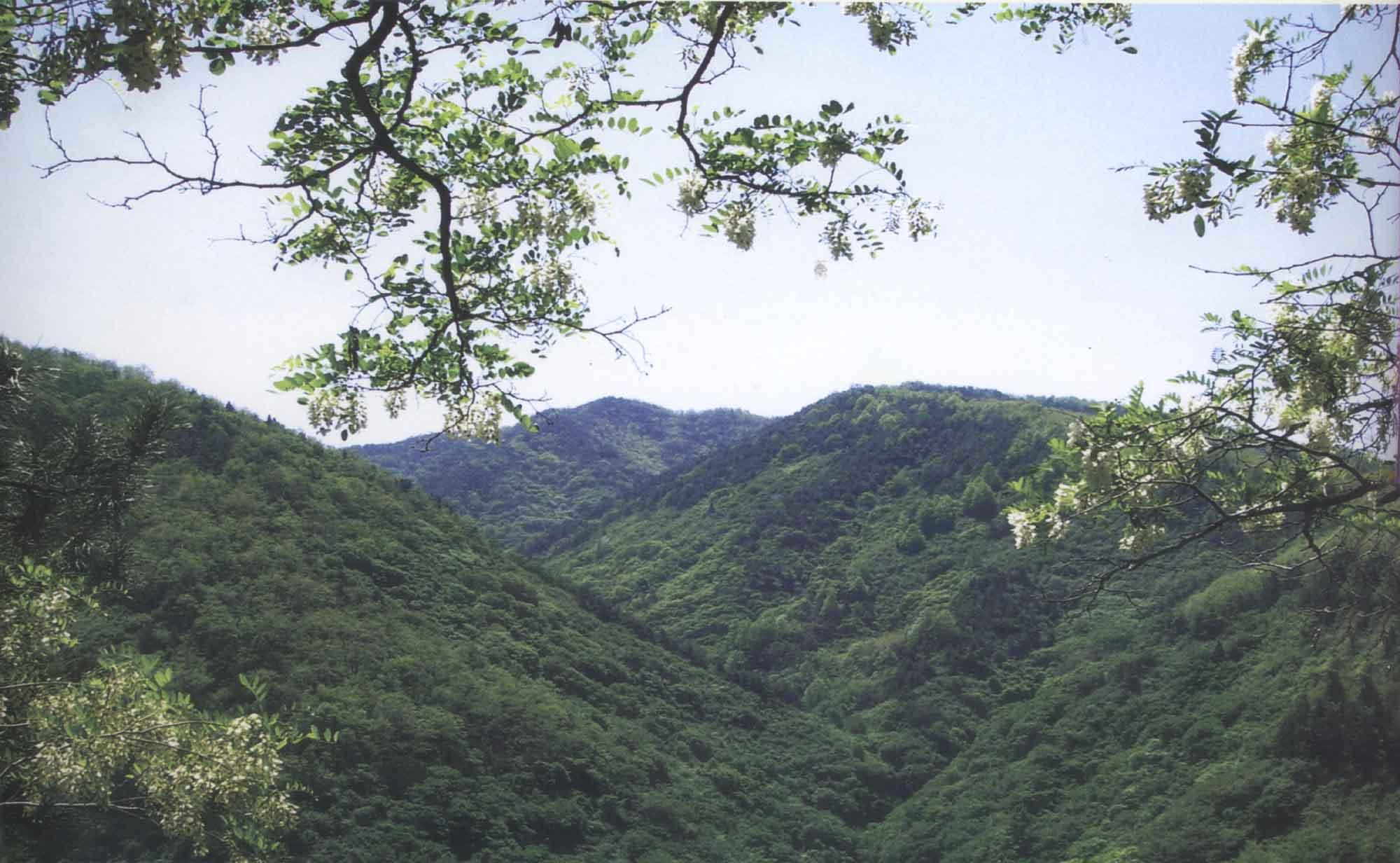 大理海西小众景点,大理好玩的小众地方