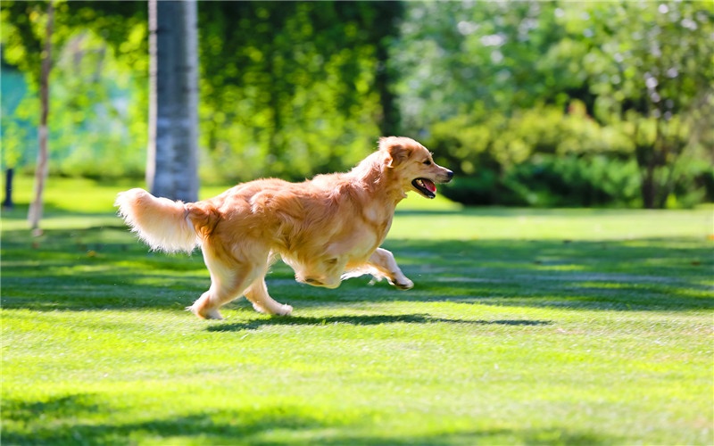 50岁的人没工作没收入，做什么生意，能每月挣到五六千的？