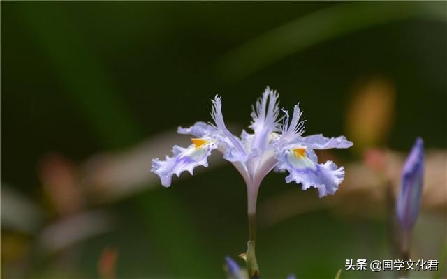 命不好是因为什么,命不好的人经常说什么话