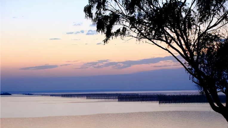 具有这几种品质的人，是天生的领导者