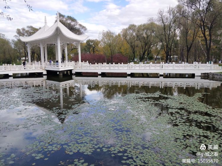 哈尔滨素描俱乐部,哈尔滨素描画室