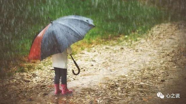 散文雨的作品,雨景散文随笔