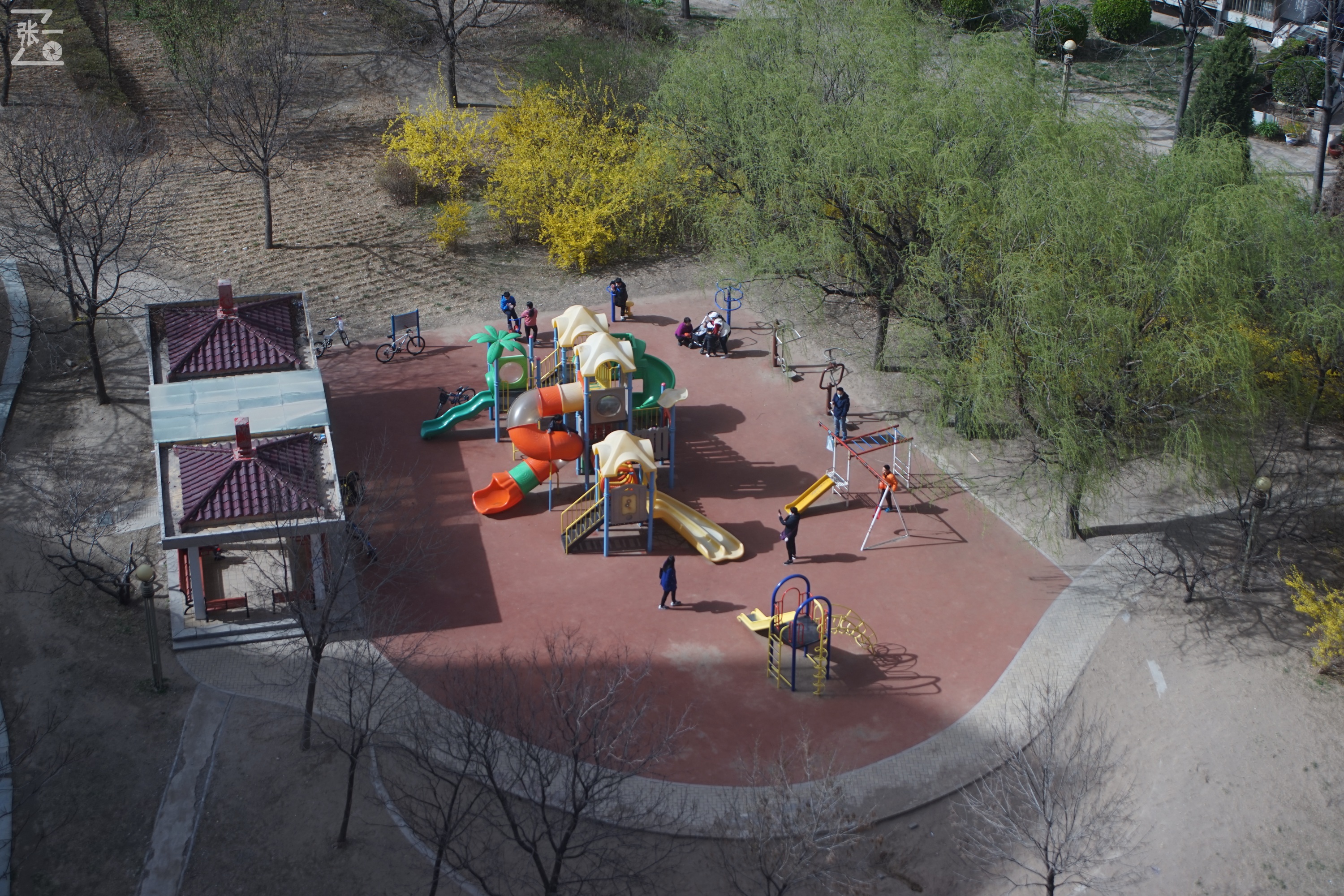 海鸥df300相机是黑白还是彩色,海鸥df300相机