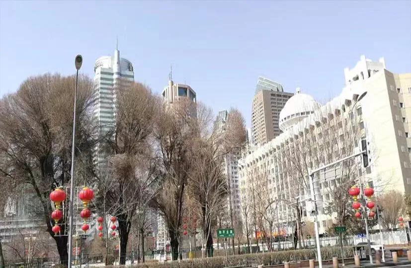 乌鲁木齐和石河子,石河子和乌鲁木齐哪个更适合发展