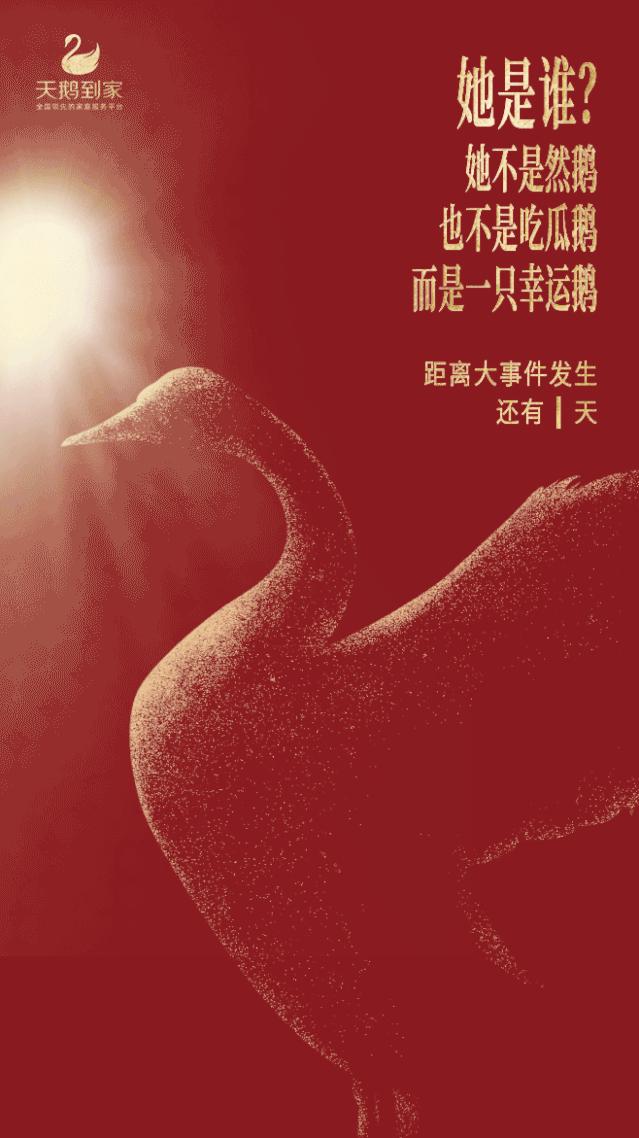 快狗打车和天鹅到家的关系,天鹅到家快狗打车