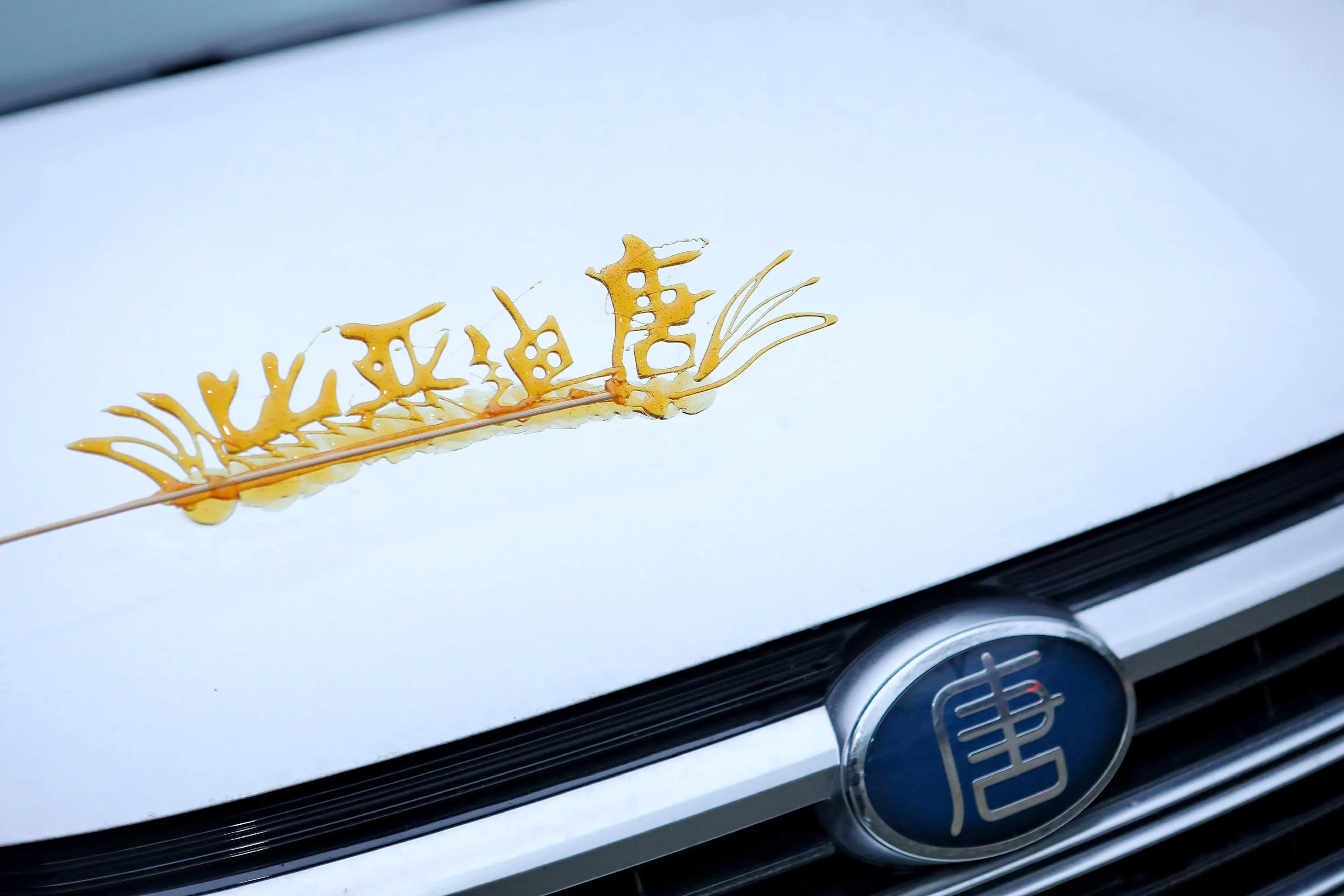 21款比亚迪唐dm最低配值得买,21款唐dm可以升级自动泊车吗