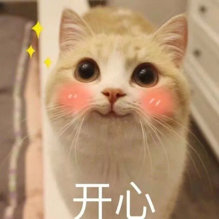 养猫包包,养猫保健药