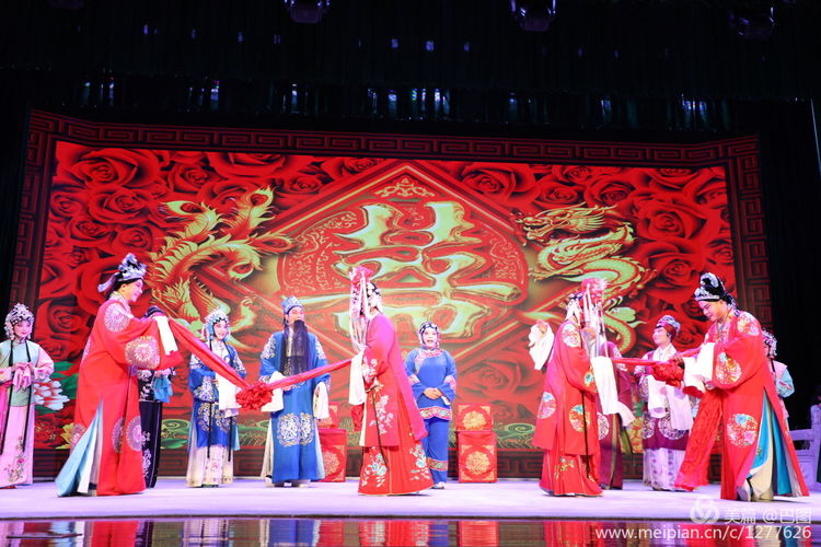 曲剧花为媒经典唱段全场,曲剧花为媒报花名完整唱段