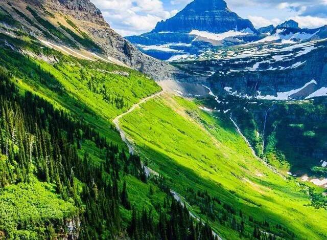 今日头条树洞在哪里,头条情感树洞