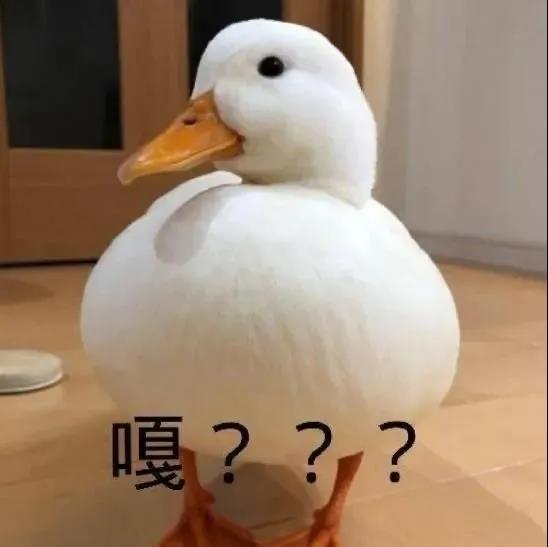 职场怎么和领导讲客套话,如何跟hr谈薪水