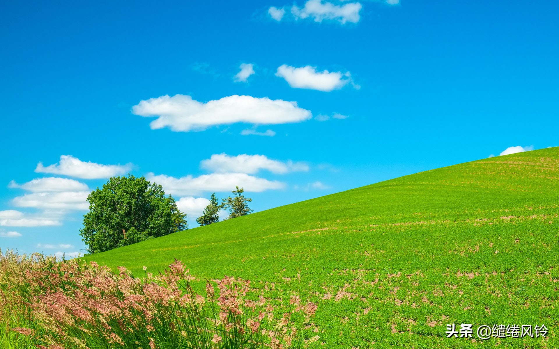 孤独的感觉是什么,感觉很孤独很压抑