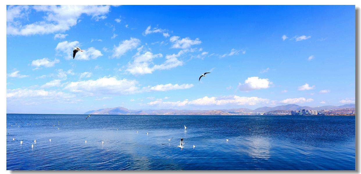 烟雨朦胧梦回云南 (随心所欲梦回云南)