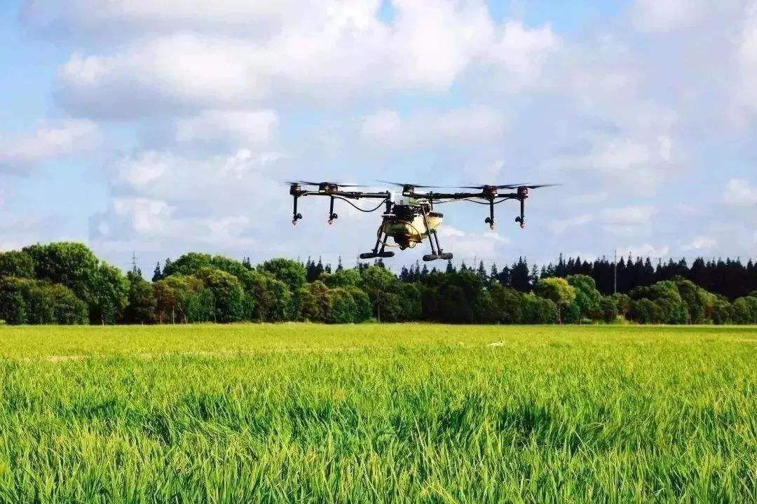 托管农业如何做到令农户满意,促进小农户和现代农业衔接