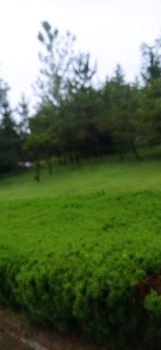 医学小常识一一胸痛咋会事?