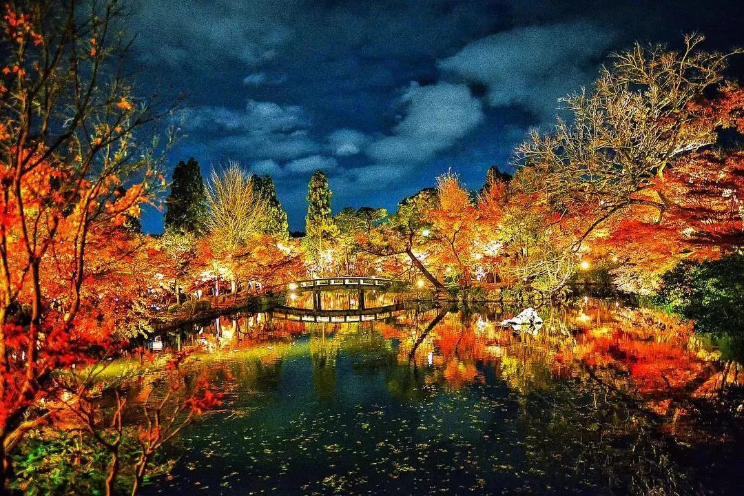 停车坐爱枫林晚，感受火红的秋