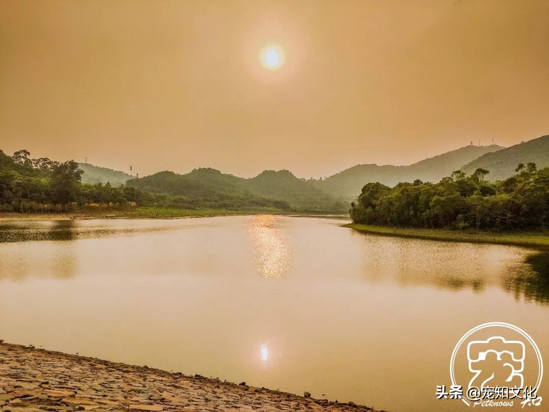 广州南沙黄山鲁森林公园攻略,广州黄山鲁森林公园好玩吗