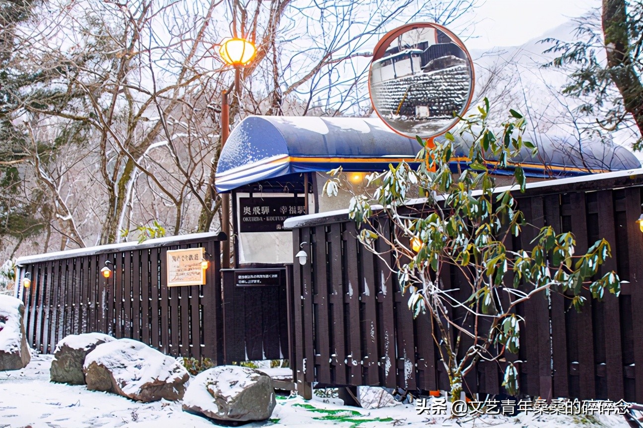 冬季日本的自驾游攻略,冬日游日本名古屋攻略
