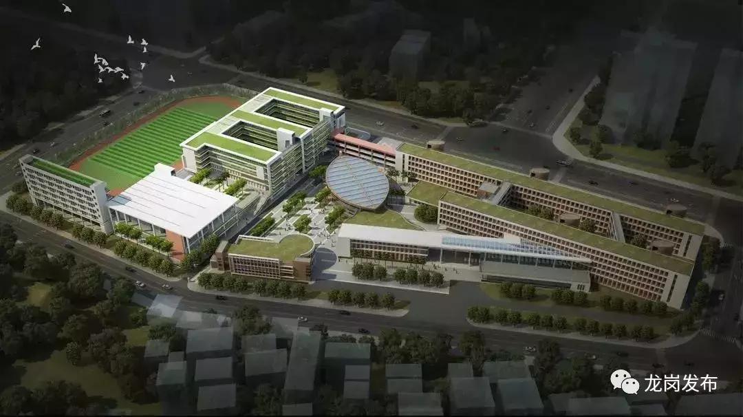 龙岗区各大项目进展,龙岗区更新项目有哪些