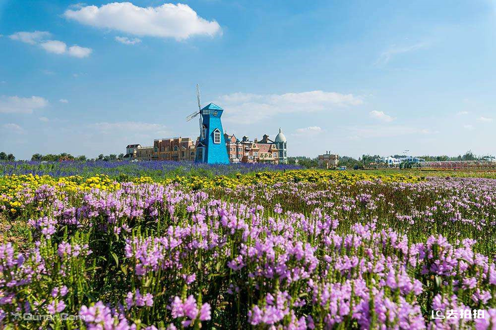 去拍拍蓝海酒店l做一片有温度的“蓝海”