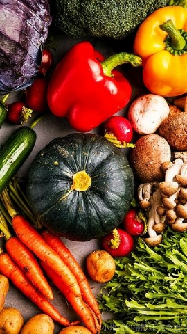 未来三年农村创业项目的发展,农村创业项目推荐2020新政策