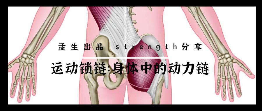 运动动力链是什么,人体运动系统动力链