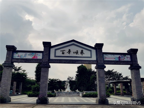 2022媒体花乡行,2023媒体花乡行