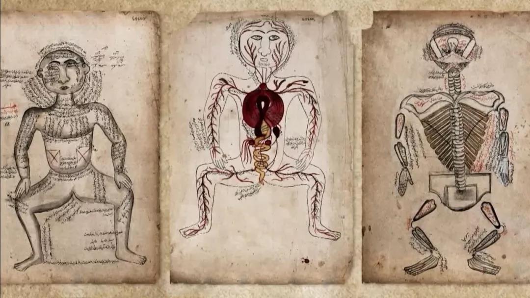 解剖尸体破案电影,解剖尸体破案电视剧