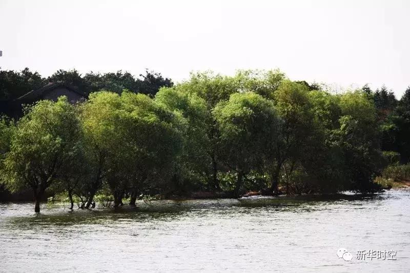 蒋家嘴西洞庭自然保护区,蒋家嘴镇规划