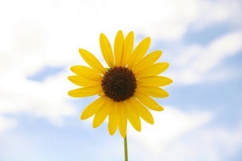 北京退休养老金4000元以上有多少,退休养老金4000