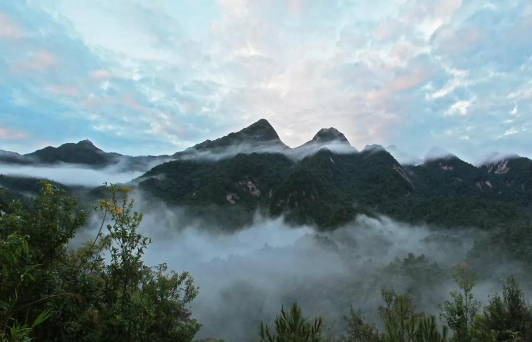 必打卡的宝藏公园,这些宝藏打卡地分分钟让人美到